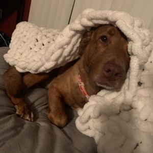 Meet your Posher, Darilin